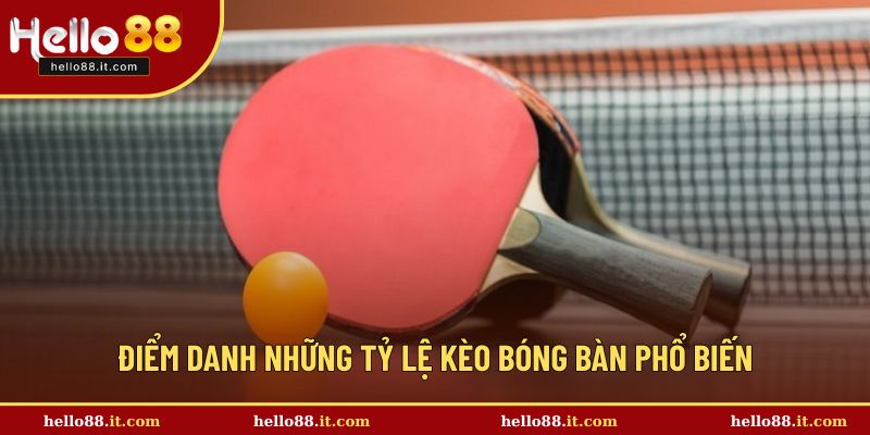 Điểm danh những tỷ lệ kèo bóng bàn phổ biến