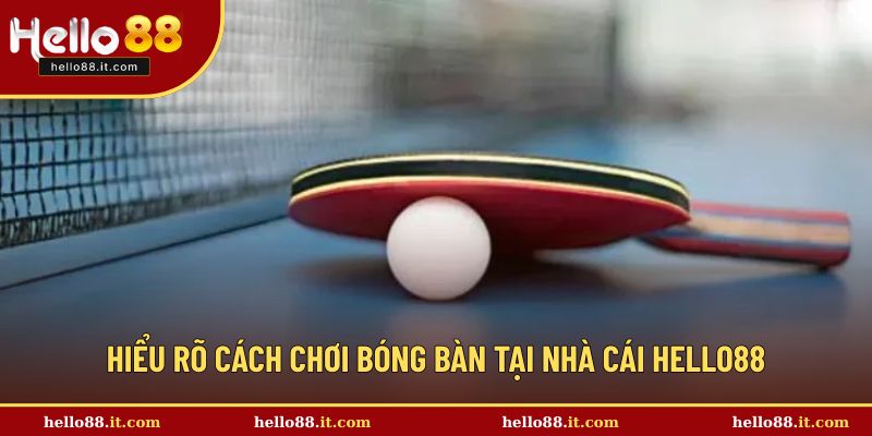 Hiểu rõ cách chơi bóng bàn tại nhà cái Hello88