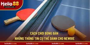 Cách Chơi Bóng Bàn - Những Thông Tin Cụ Thể Dành Cho Newbie