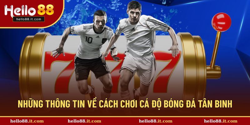 Hiểu các thông tin chung về cách chơi cá độ bóng đá