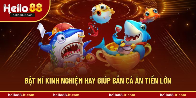 Bật mí mẹo hay giúp săn cá ăn tiền lớn