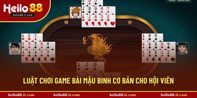 Những luật chơi cơ bản cho người mới tham gia