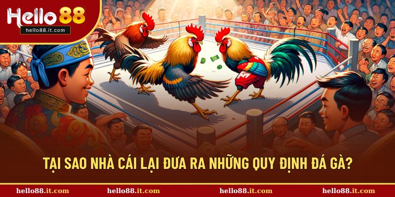 Lý do của những quy định đá gà