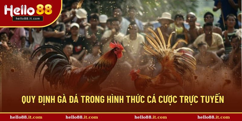 Quy định trong hình thức trực tuyến