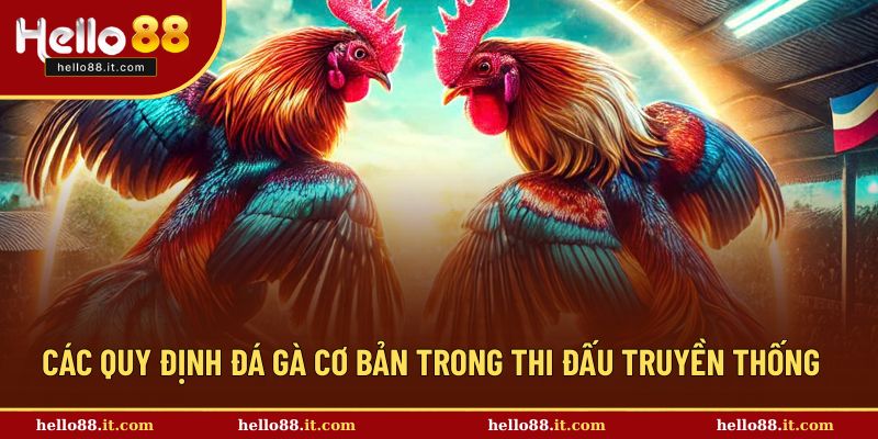 Quy định cụ thể khi đấu kê truyền thống