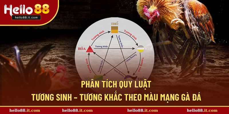 Quy luật cụ thể tương sinh – tương khắc theo màu mạng