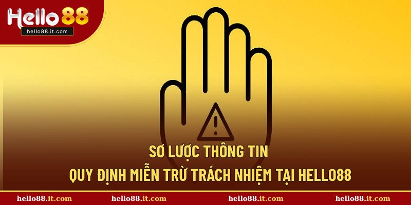 Sơ lược thông tin nội dung chính sách miễn trừ trách nhiệm 
