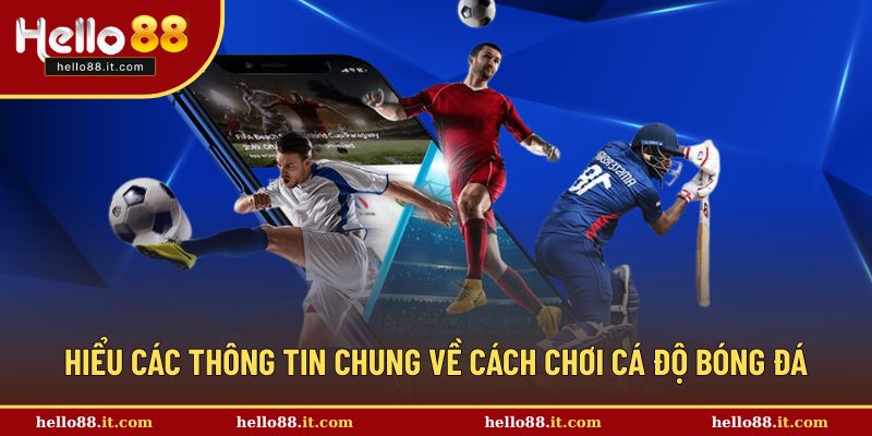 Những thông tin về cách chơi cá độ bóng đá cho tân binh