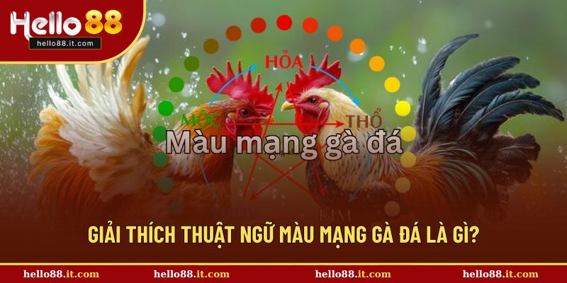 Hiểu rõ thuật ngữ màu mạng gà đá