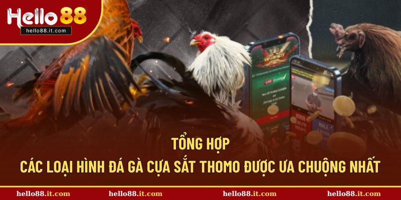 Những loại hình gà đá phổ biến hay nhất